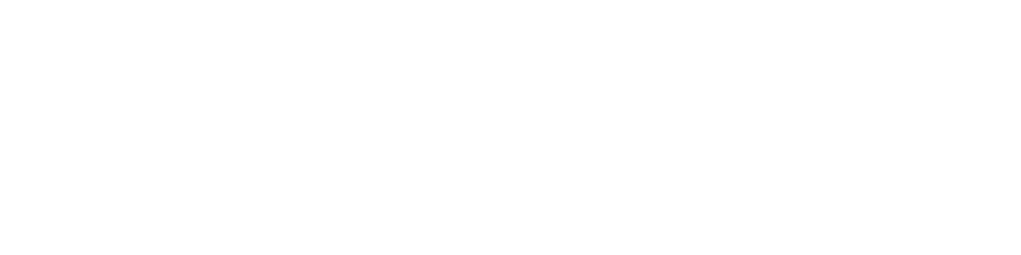 The Bridge Co